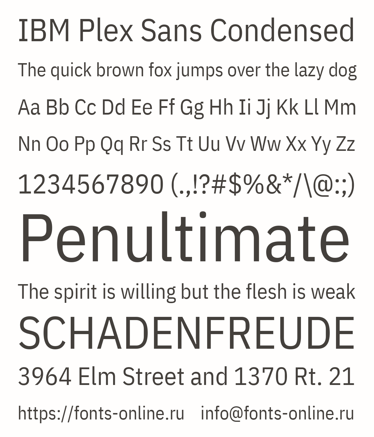 IBM Plex Sans Condensed Free Font Download
